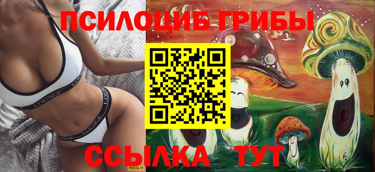 Галлюциногенные грибы GOLDEN TEACHER  закладки  Рубцовск  Вход с VPN 
