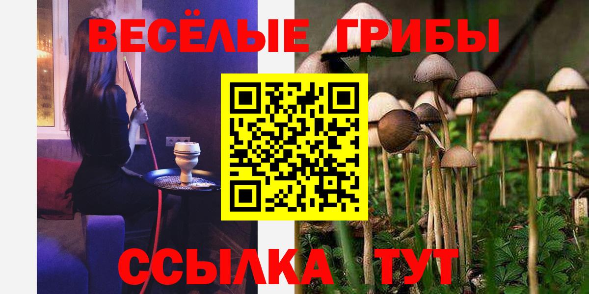 Псилоцибиновые грибы мухоморы Рубцовск